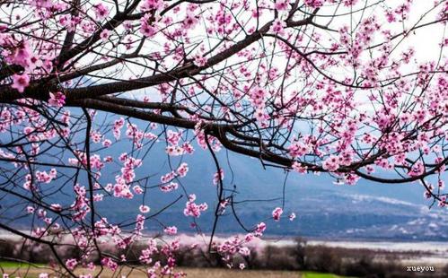 敏锐而美丽的寓言