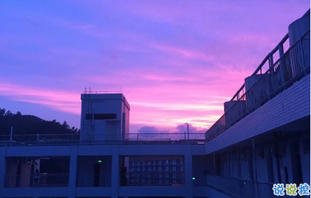 优美的英语句子