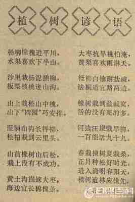 可以预测天气的谚语