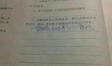 描写小动物外形句子