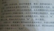 小动物外貌描写片段