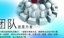 团队合作精神的句子