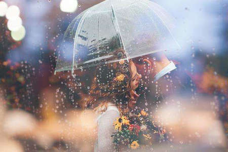 陪伴日复一日，从春季到夏季，从秋季到冬季1