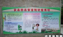 食品安全标语大全中学