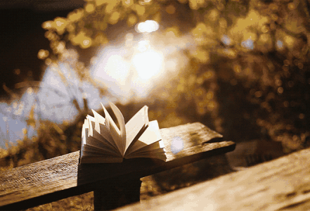 失踪意味着不要忘记他的善良并讨厌他的不幸1