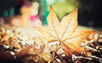 保重，不要难过