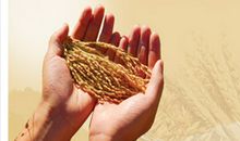 企业管理层激励标语