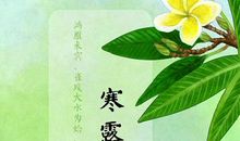 二十四节气民间谚语