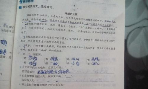 18个拟人化句子