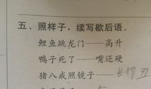 关于荷的歇后语