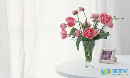 赞美春天的拟人化句子