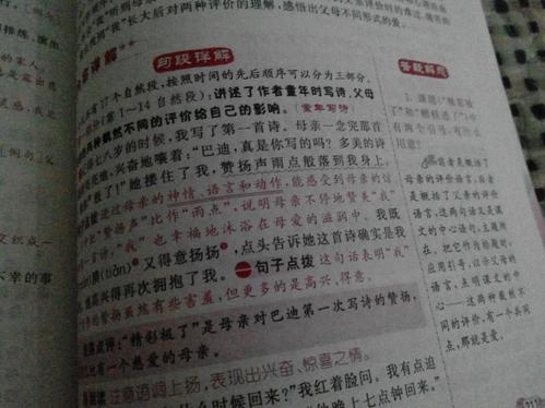 春季拟人句子100