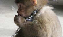 天灵盖长眼睛歇后语