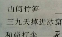 山间竹笋歇后语