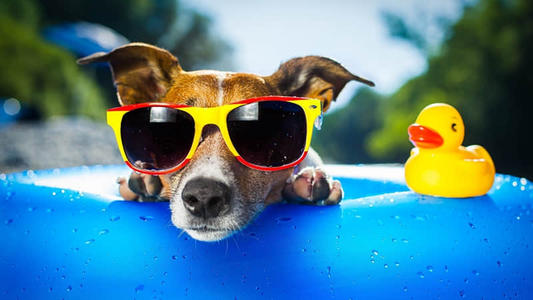 2020QQ心情经典行情