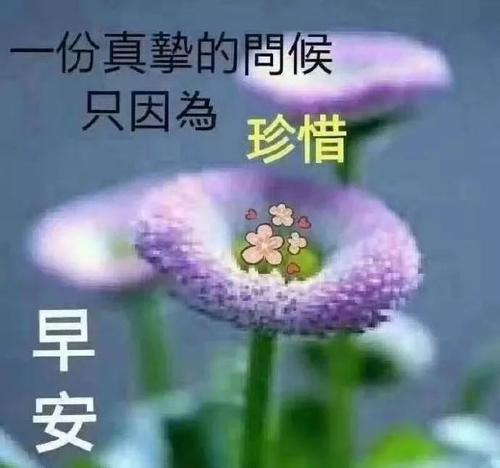 每天早晨的祝福