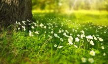 人生就是四季，过了冬有夏，过了秋有春