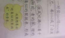 用比喻句写大山