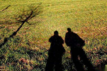 对爱的期望过高，会伤害自己1