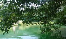 湖面平静比喻句