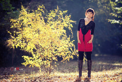 白桦林的比喻句