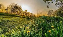 抖音里的人生句子