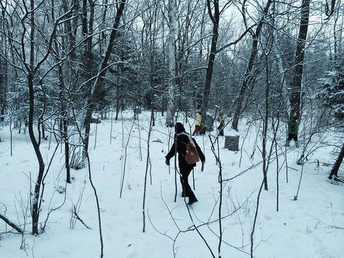 走在雪中的句子