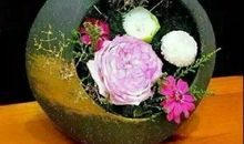 2020最经典的一句话