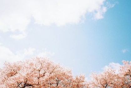 朋友谈论的时刻