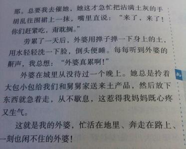 男孩的外观描述