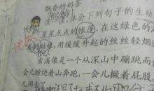 写眉毛的比喻句