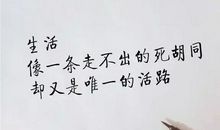 抖音上酷拽的句子