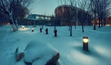 关于初雪的句子