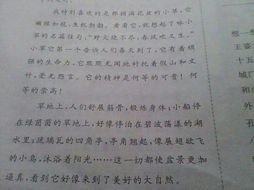 刺槐树拟人化句子