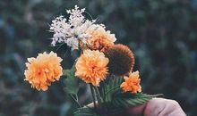 关于心情低落的说说