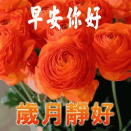 祝领导工作顺利