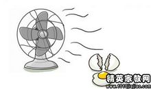 有关鸡的谚语大全