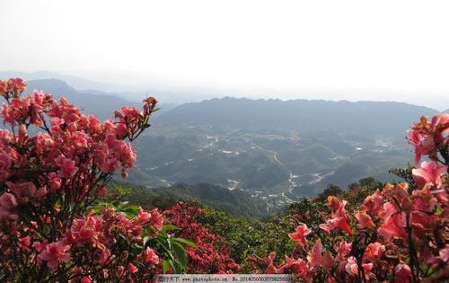 描写自然风光的诗