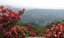 描写大自然风光的诗句