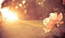 人生感悟的句子简短的图片：热爱生活的人，生活也爱他