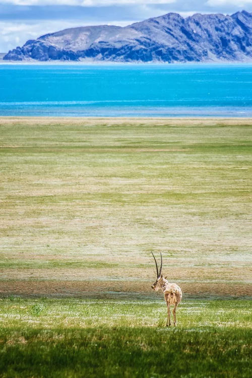 赞美自然的谚语