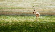 赞美自然风光的谚语