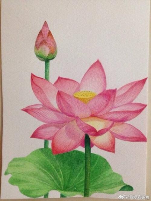 描写荷叶的句子