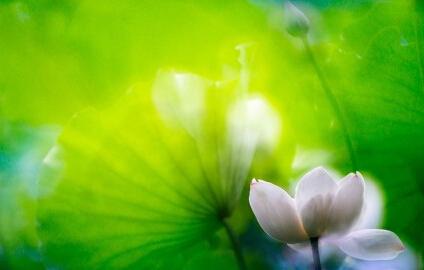 语气淡漠的句子