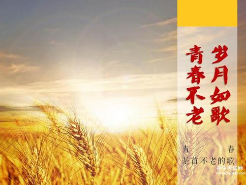 表达团契的句子