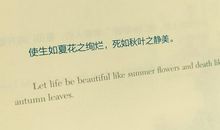 抒发内心情感的句子