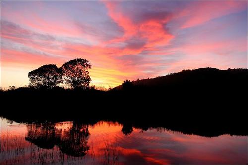 夕阳下的审美句子