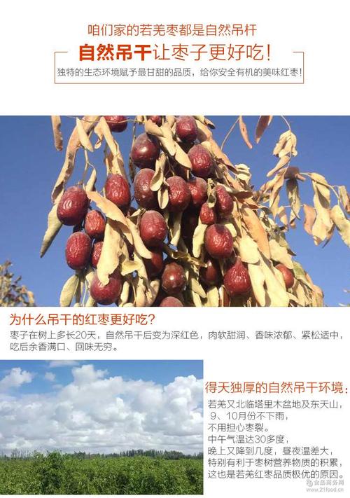 关于红色日期的寓言