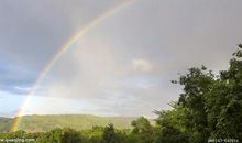 下雨前的自然现象谚语