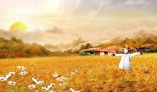 秋收的诗句景色句子